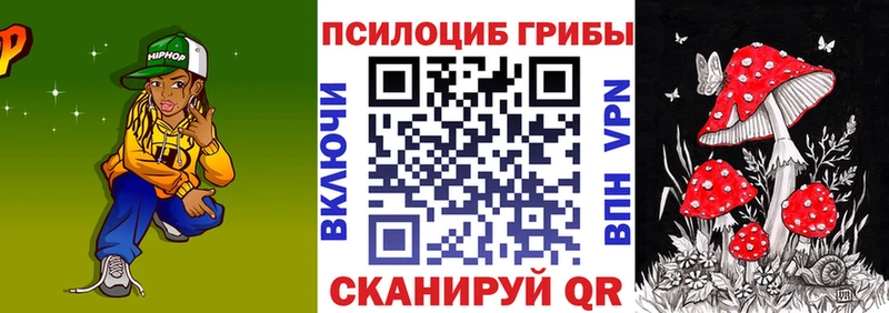 Псилоцибиновые грибы Psilocybe  Невель 