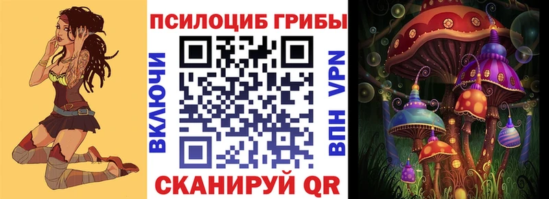 Галлюциногенные грибы Cubensis Невель
