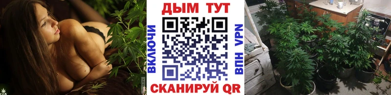 Конопля ГИДРОПОН  Невель 